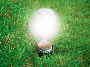 Sustainability Lightbulb 