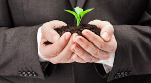 Hands Holding a Plant