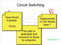 containing "Packet Switching & Circuit Switching"