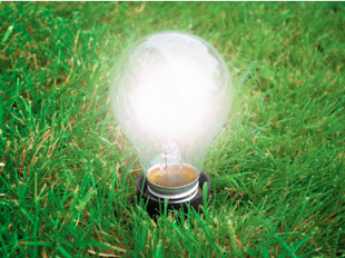 Sustainability Lightbulb