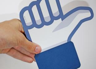 Facebook 'Like' Booklet